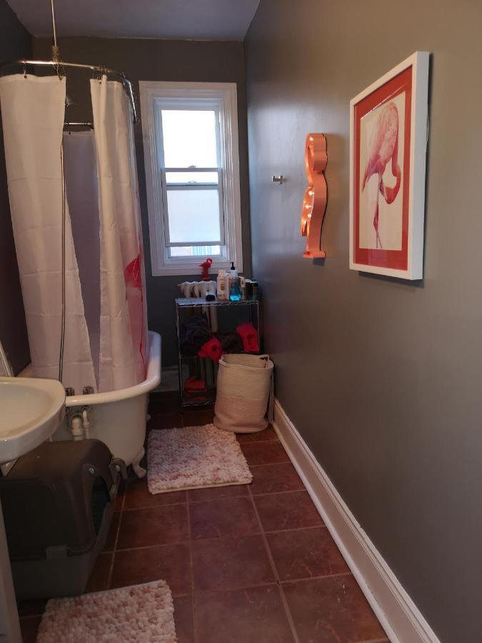 Room With King Bed In Shared 3 Bedroom Downtown Montreal Zewnętrze zdjęcie